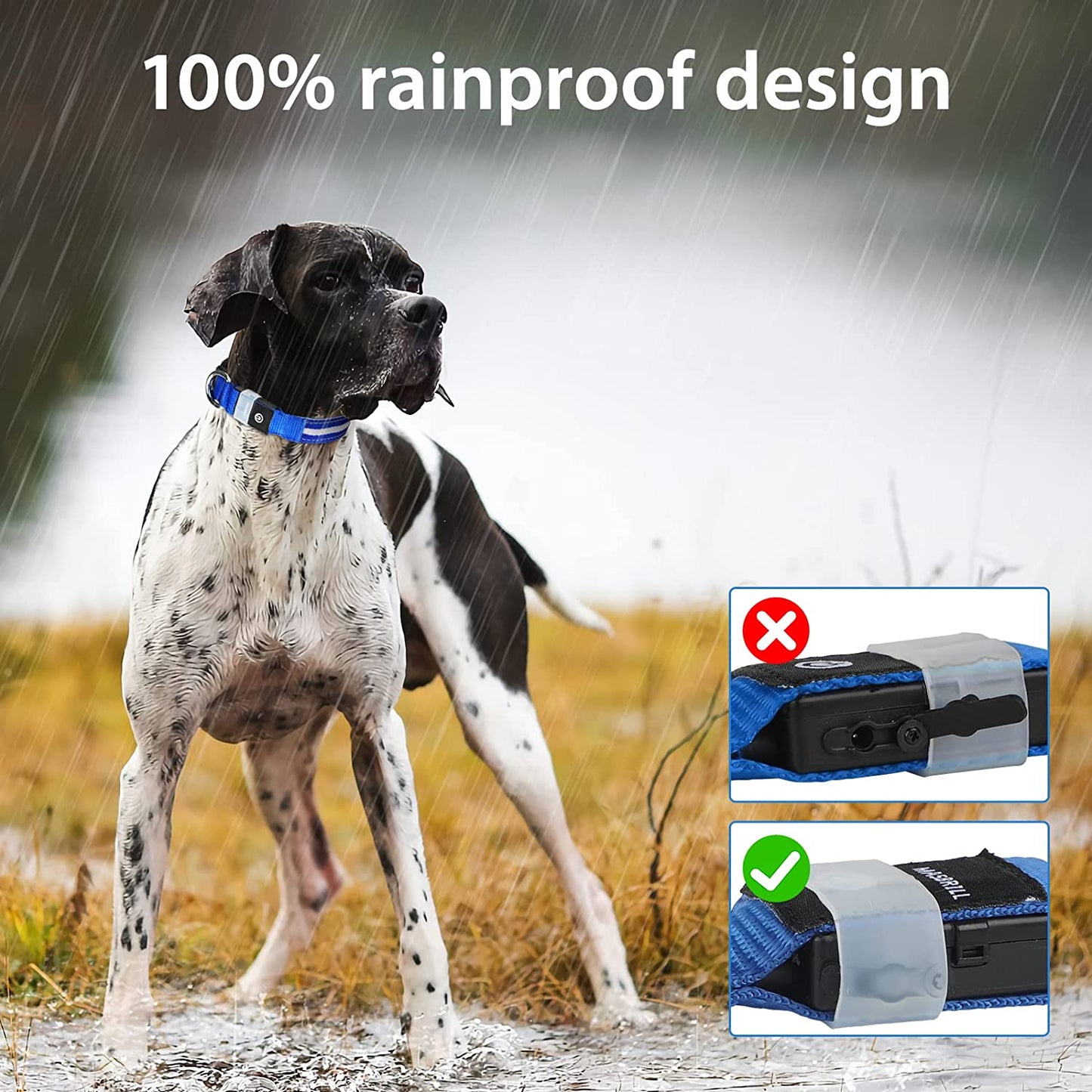 Led Dog Collar - Rechargeable, Water-Resistant, Flashing, Glowing, Night Walking Collar for Dogs - Blue, Size M (19.69*0.98Inch)