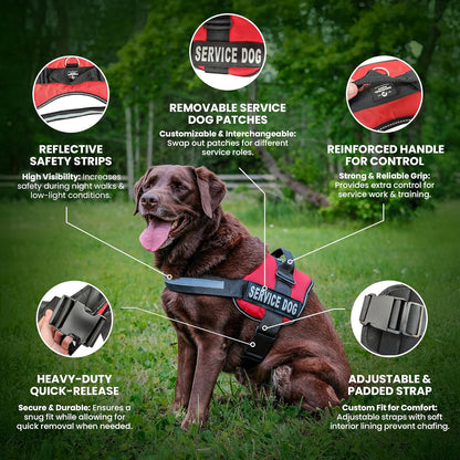 Service Dog in Training Vest with Hook and Loop Straps and Handle - Harnesses in Sizes from XXS to XXL - Service Dog Vest Harness Features Reflective Patch and Comfortable Mesh Design