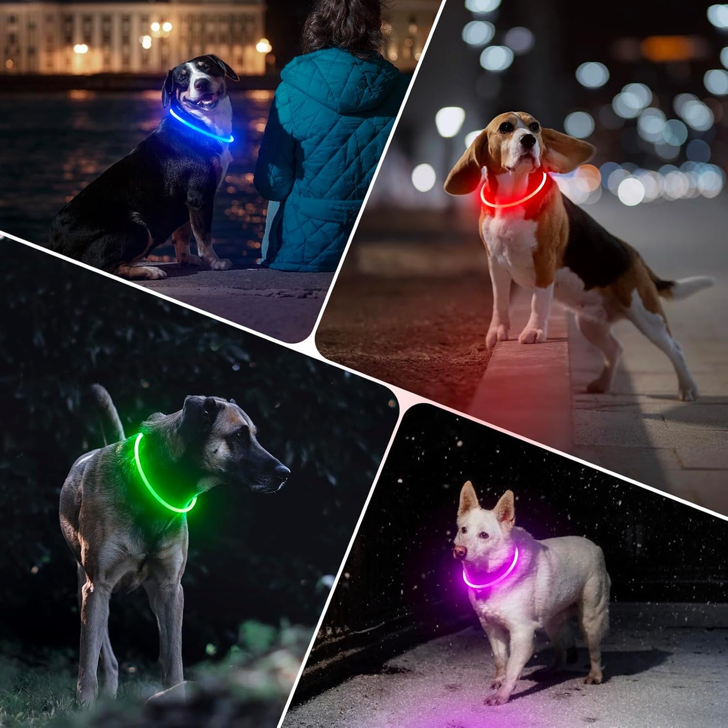 Light up Dog Collar, Rechargeable LED Dog Collar Waterproof Glowing Pet Collar TPU Cuttable Lighted Puppy Collar Safety Dog Lights for Night Walking (Pink 70Cm)