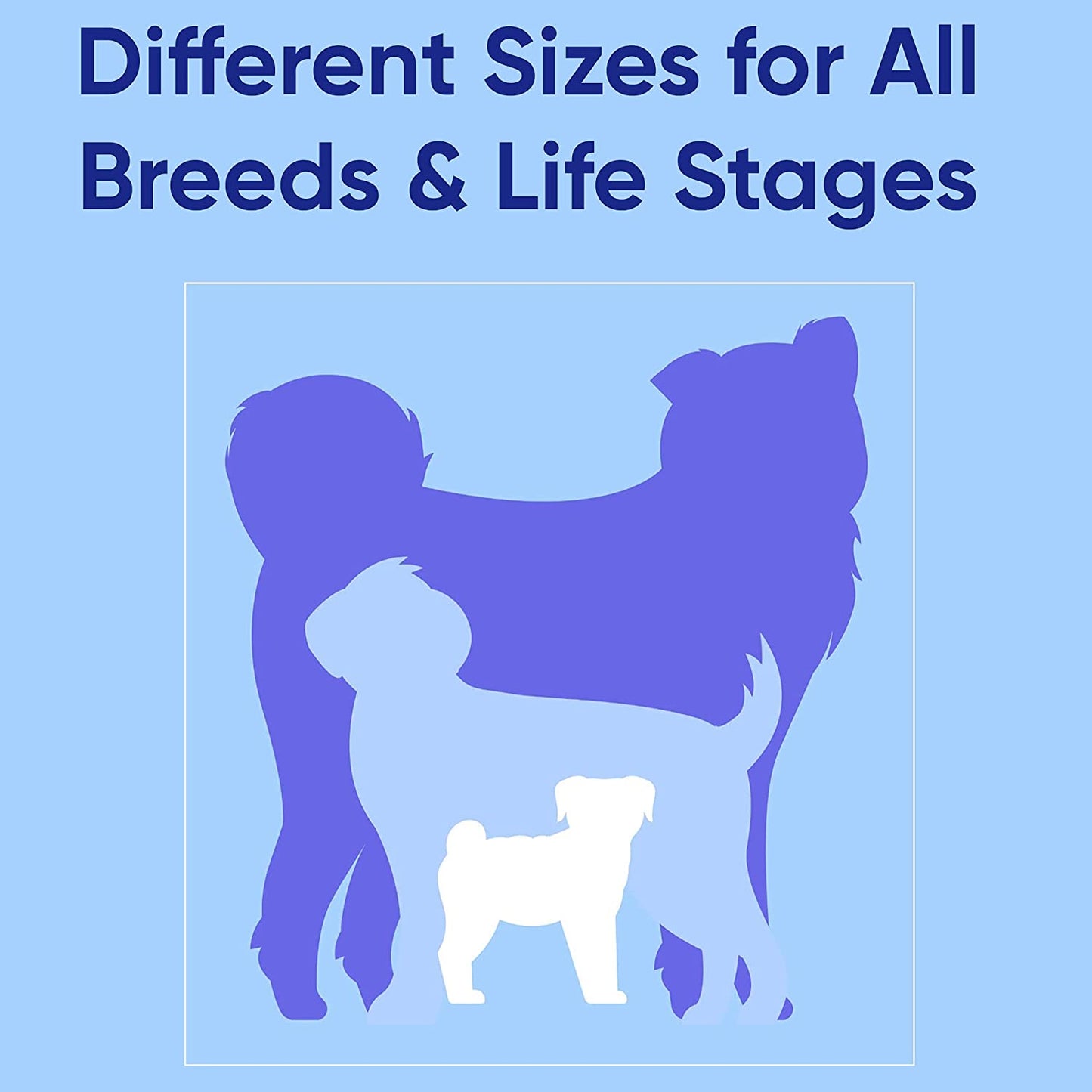 Solid 6 Ft Green Dog Leash XS/S Custom Name and Phone Embroidery Strong Nylon Leash for Small Breeds