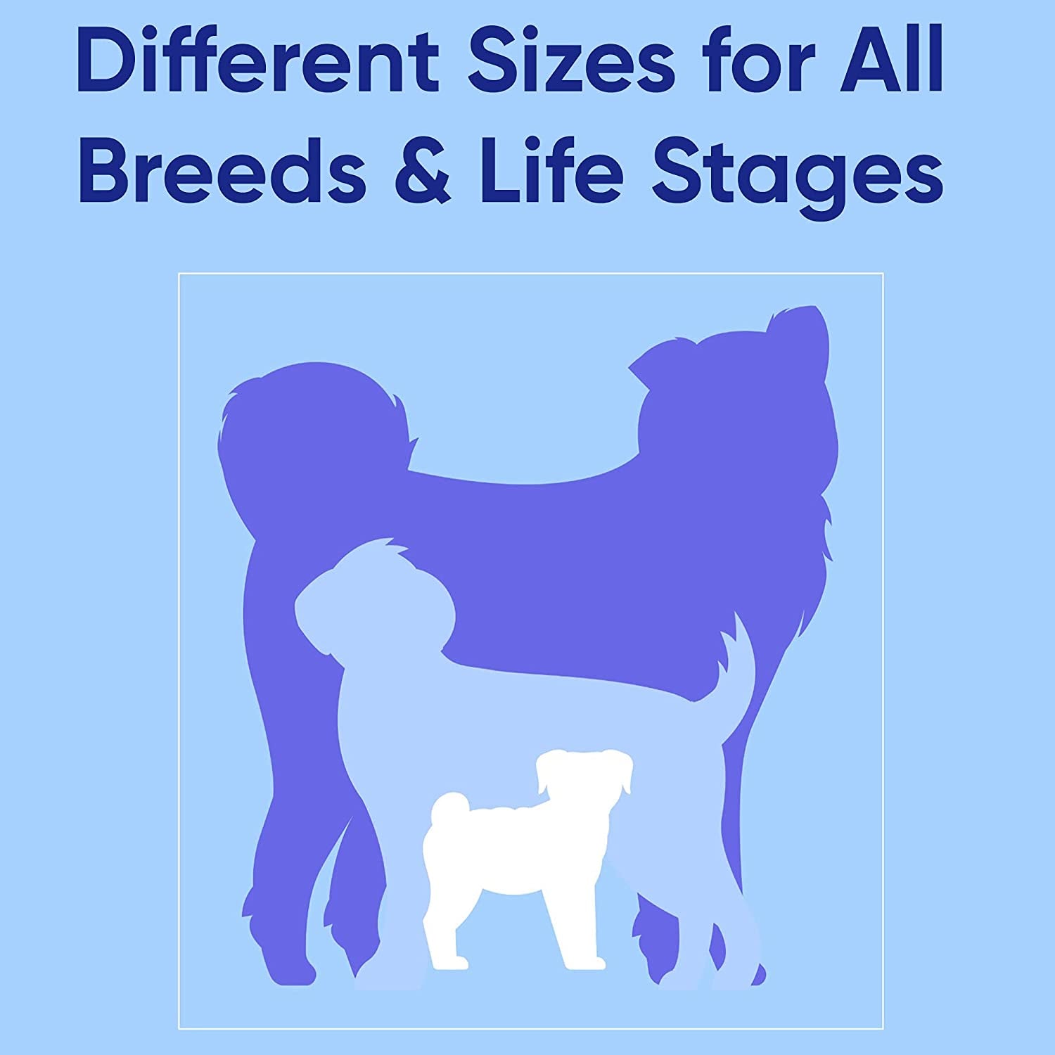 Solid 6 Ft Green Dog Leash XS/S Custom Name and Phone Embroidery Strong Nylon Leash for Small Breeds