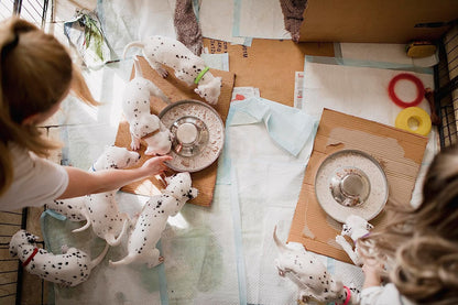 Stainless Steel Puppy Dog Bowls 2 Pack, Pets Puppies Feeding Food and Water Weaning Bowls Dishes Feeder, 11.8 Inch