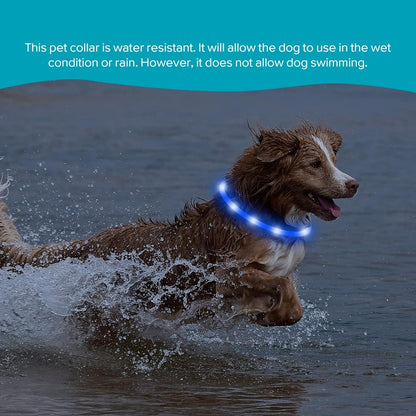 LED Dog Necklace Light, USB Rechargeable Light up Dog Collar, Flash LED Dog Collar for Your Dogs Camping (Blue-Silicone)