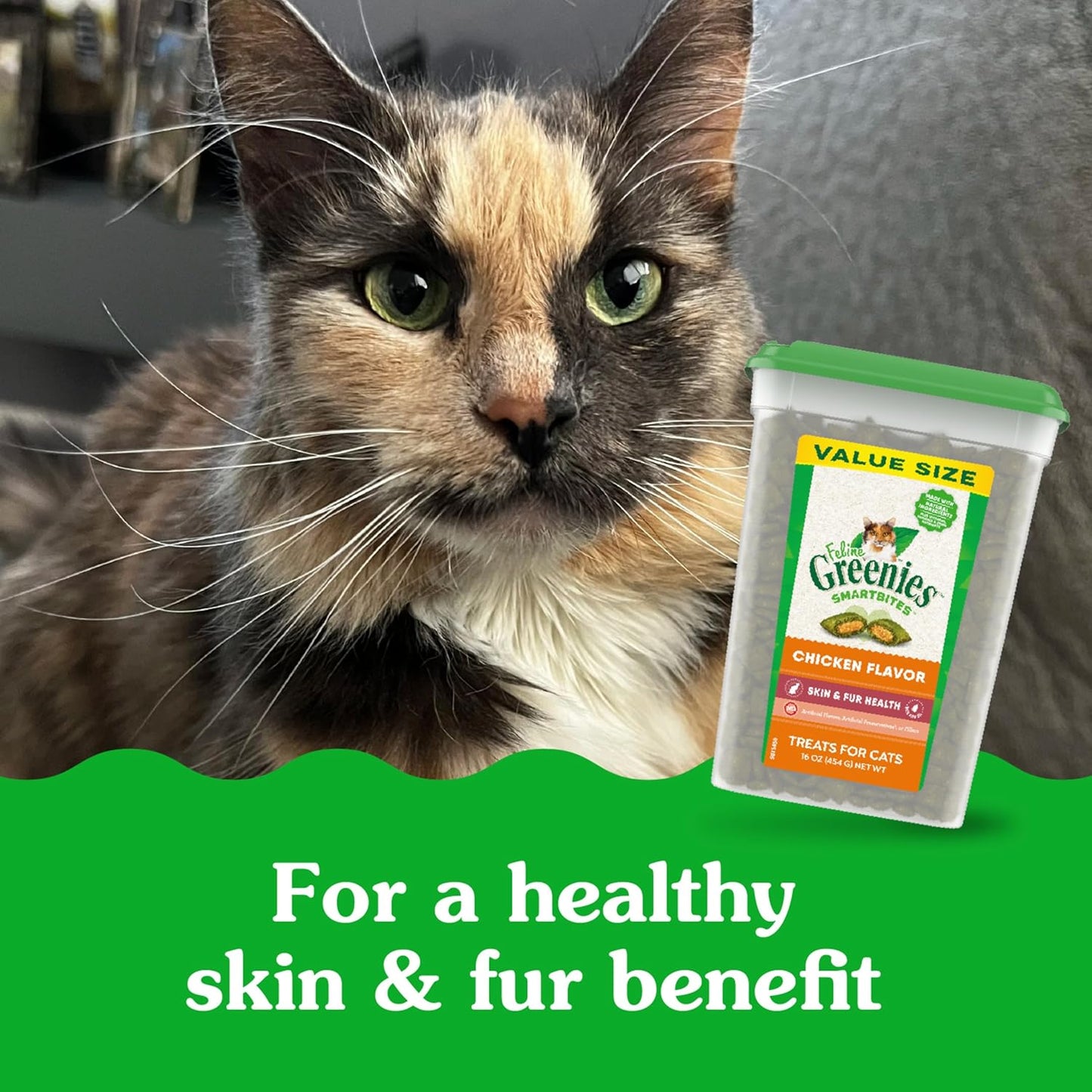 Feline Smartbites Skin & Fur Health Crunchy and Soft Cat Treats, Chicken Flavor, 16 Oz. Tub
