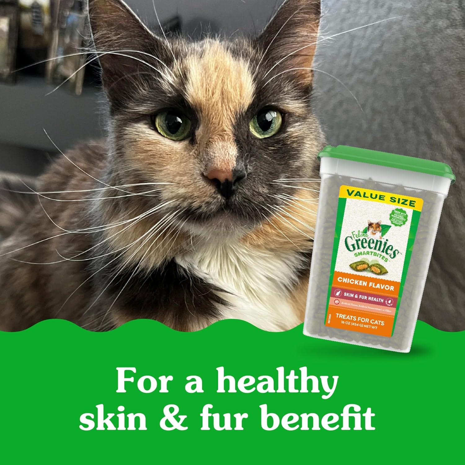 Feline Smartbites Skin & Fur Health Crunchy and Soft Cat Treats, Chicken Flavor, 16 Oz. Tub