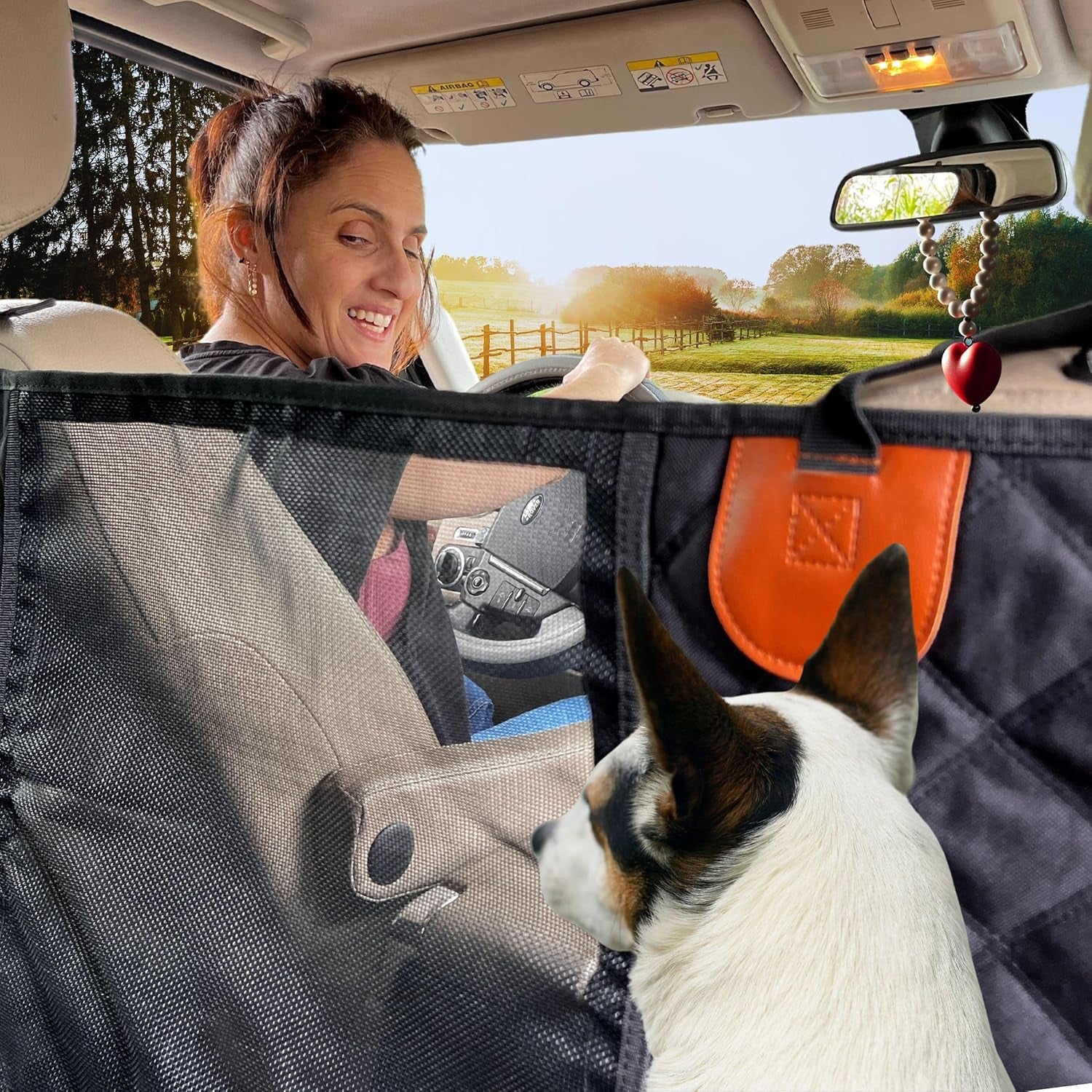 Dog Car Seat Cover - 100% Waterproof Hammock with Mesh Window, Scratchproof, Durable (Black, Standard (54" W X 58" L))