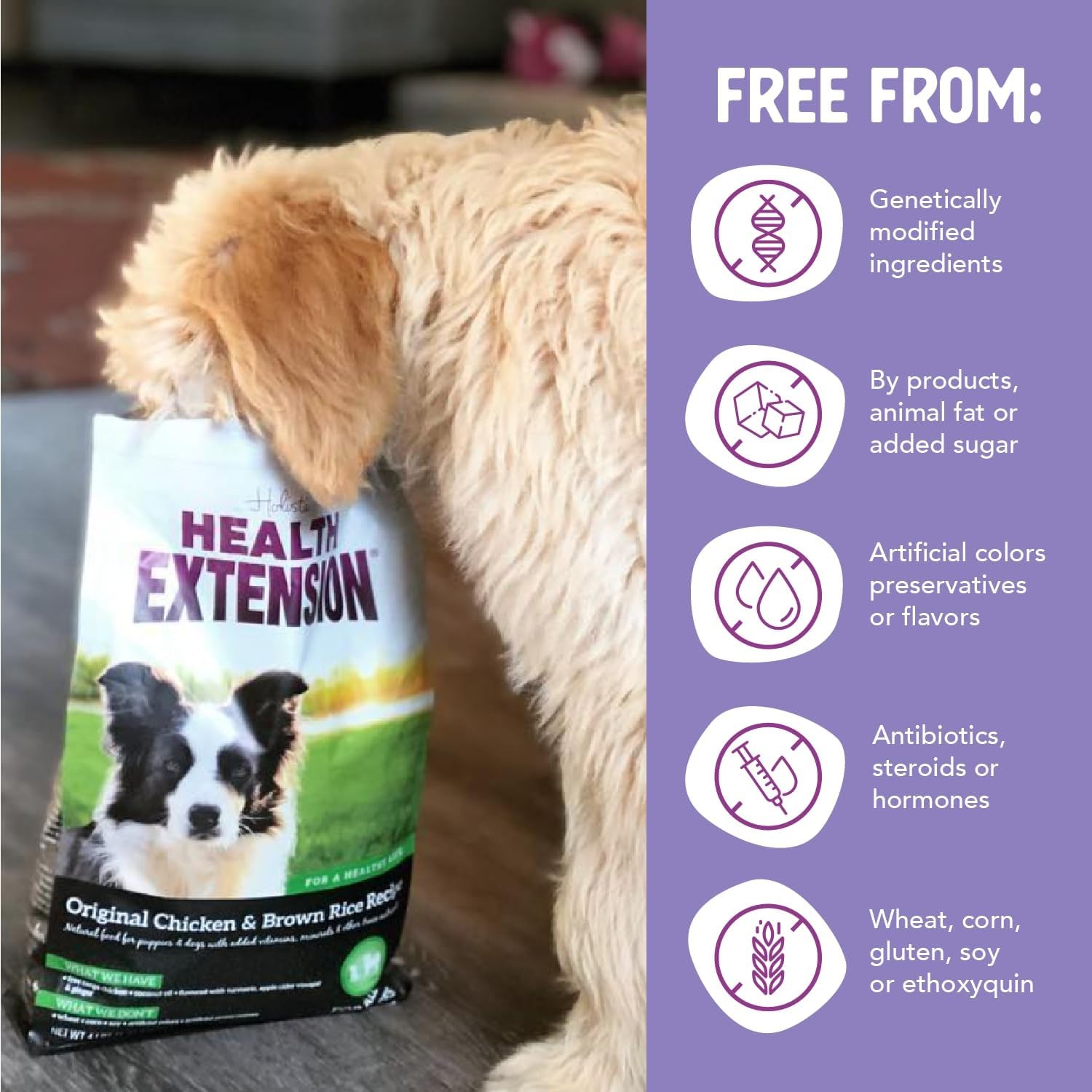 Original Chicken & Brown Rice, Protein Packed Formula with Probiotics & Superfoods for Digestion & Coat Health (4 Lb Bag)
