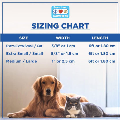 Solid 6 Ft Green Dog Leash XS/S Custom Name and Phone Embroidery Strong Nylon Leash for Small Breeds