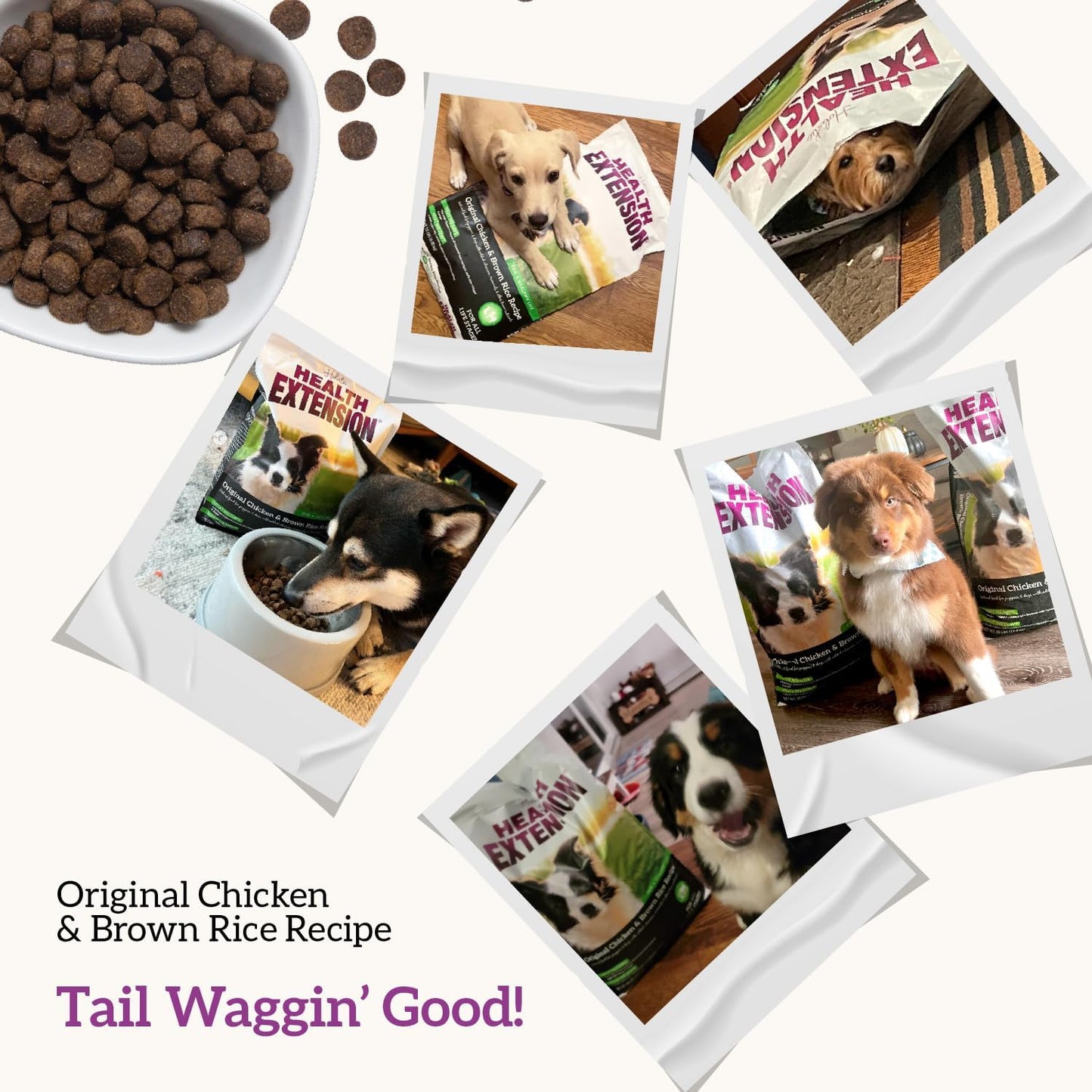 Original Chicken & Brown Rice, Protein Packed Formula with Probiotics & Superfoods for Digestion & Coat Health (4 Lb Bag)