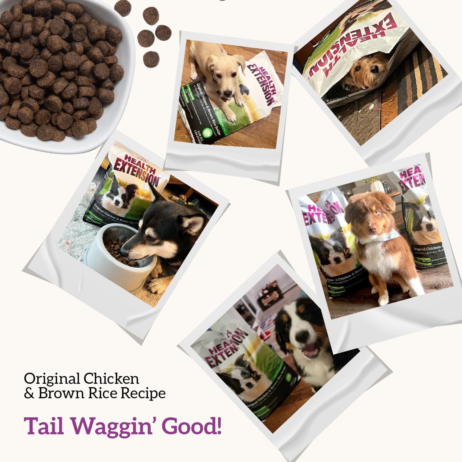 Original Chicken & Brown Rice, Protein Packed Formula with Probiotics & Superfoods for Digestion & Coat Health (4 Lb Bag)