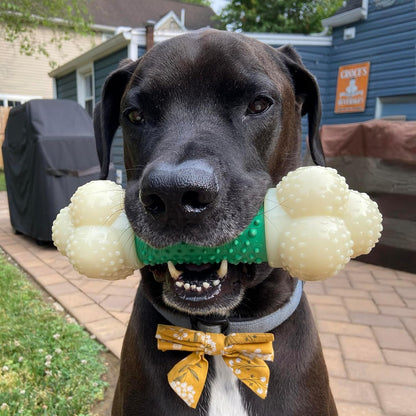 Double Action Bone Power Chew Toy for Dogs, Dog Toys for Aggressive Chewers, Bacon Flavor, X-Large - 50+ Lbs, 1 Count